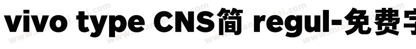 vivo type CNS简 regul字体转换